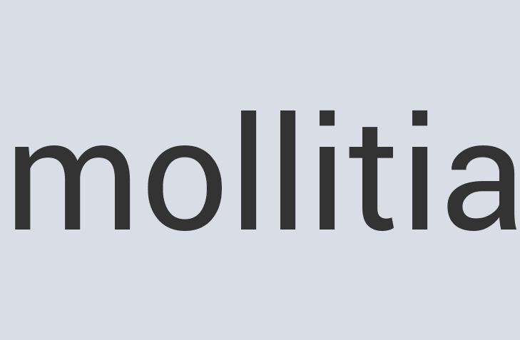 Small Copper Strydesdale