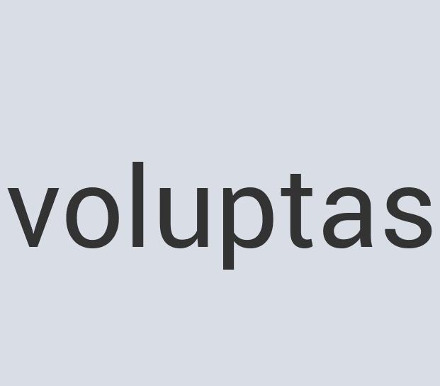 Rustic Marble Toylid