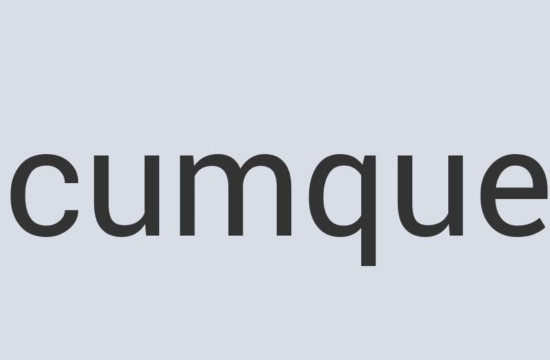 Aerodynamic Leather GateGear