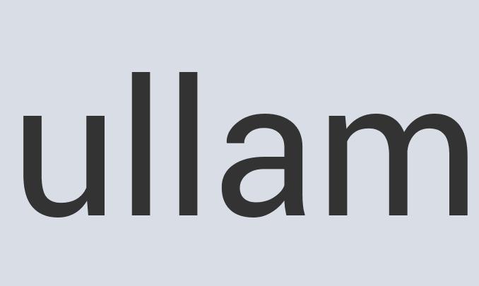 Aerodynamic Bronze Brainclip