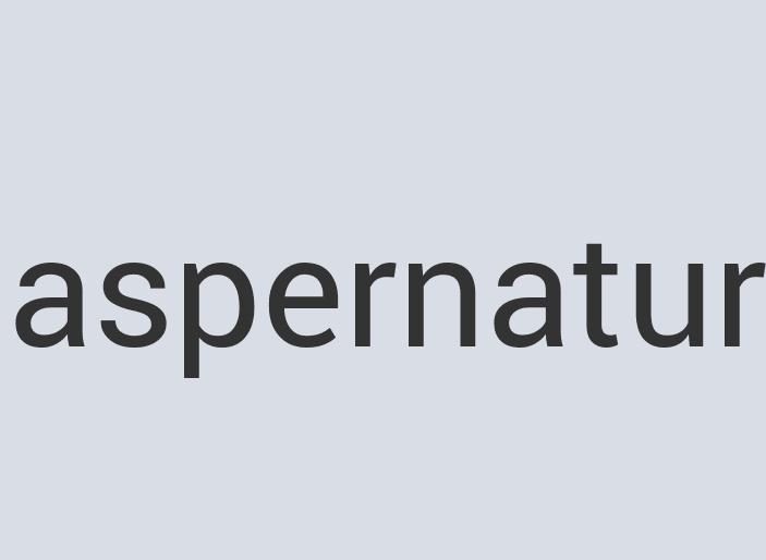 Aerodynamic Rubber RAPID – Radical Accessories for Pet IDentification
