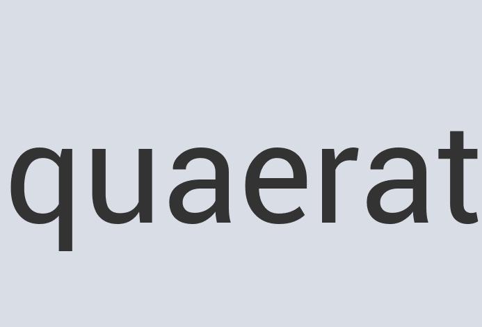 Aerodynamic Leather Gleamer