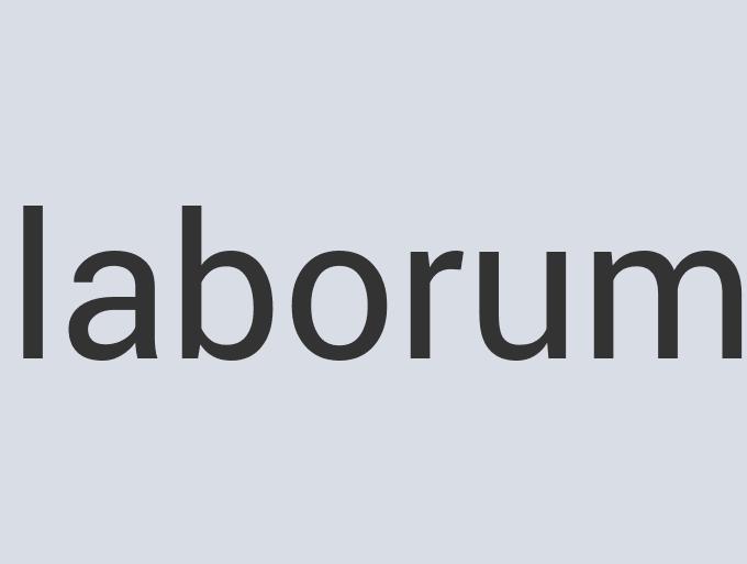 Fantastic Aluminum Turtle Magic