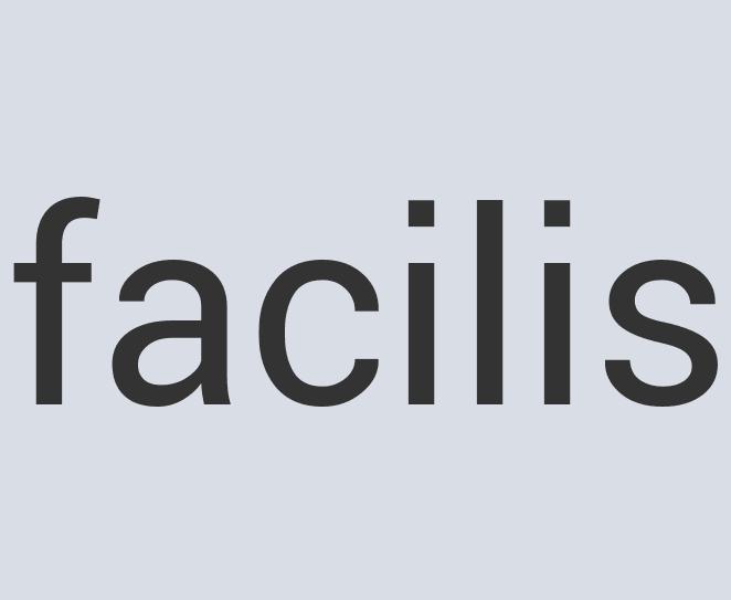 Aerodynamic Granite Biflex