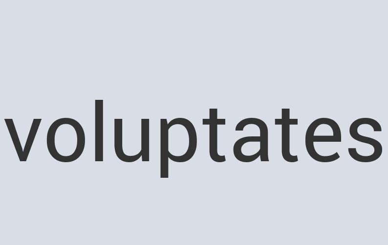 Gorgeous Plastic Taco Bear