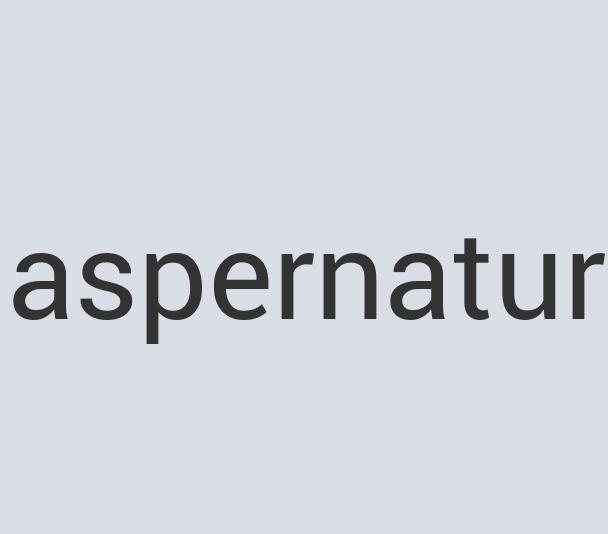 Enormous Wooden Domismiles